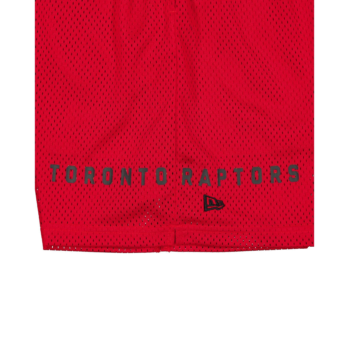 Toronto Raptors Summer Shorts