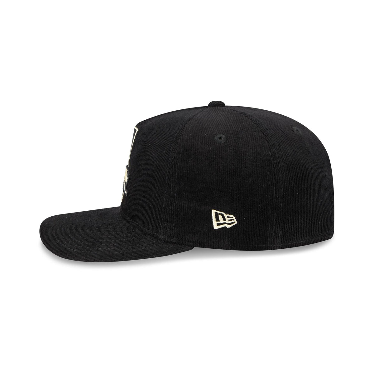 Detroit Lions Nostalgic Black Corduroy 19TWENTY Adjustable Hat